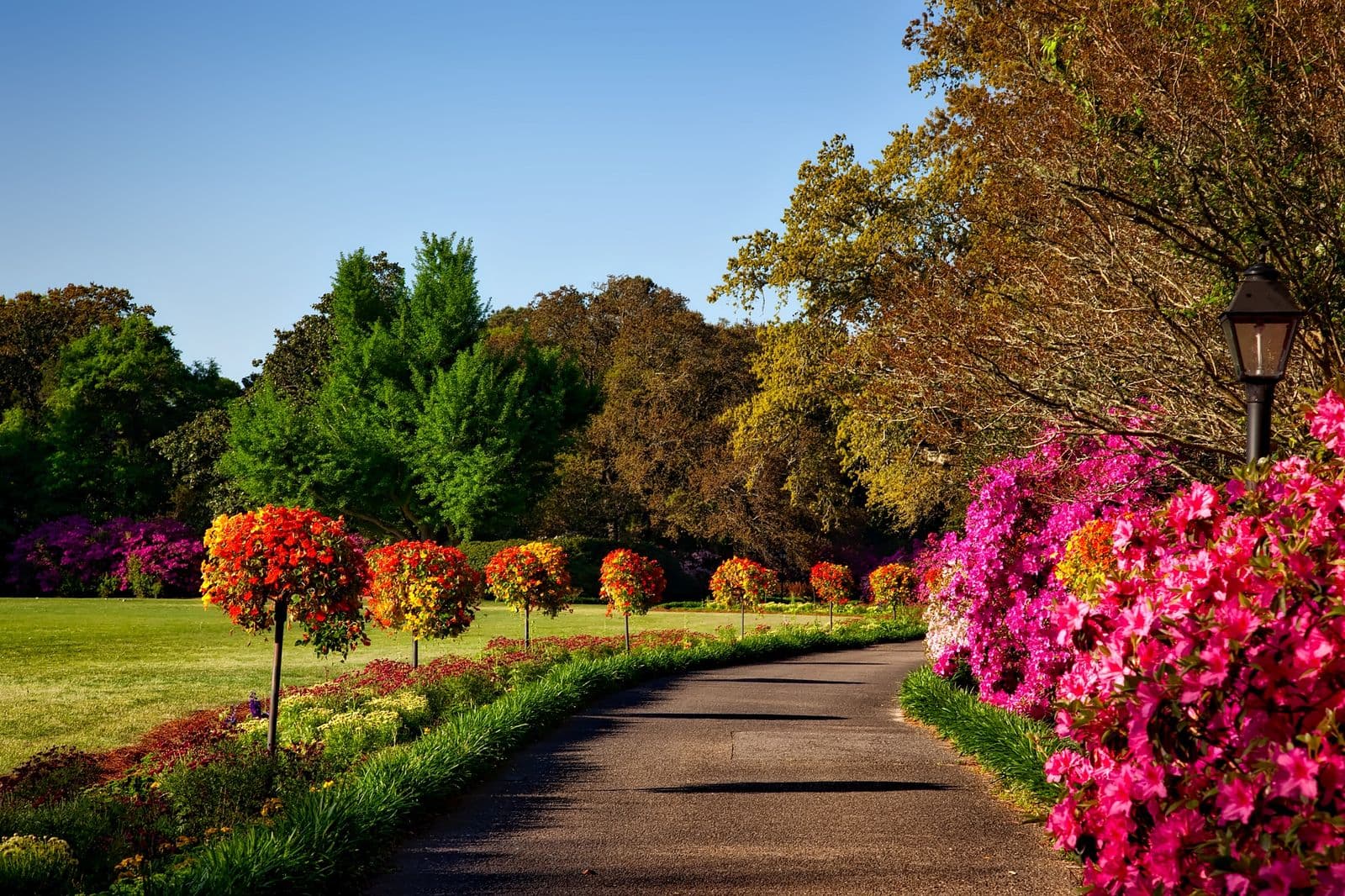 Grounds and outdoor plant